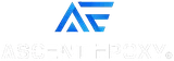 Ascent Epoxy Fort Myers logo
